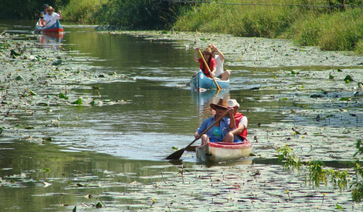 Návraty 2015