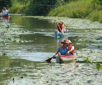 Návraty 2015